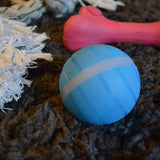Busy Ball Interactive Pet Ball - Top-Rated Interactive Pet Toy
