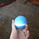 Busy Ball Interactive Pet Ball - Top-Rated Interactive Pet Toy