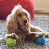 Busy Ball Interactive Pet Ball - Top-Rated Interactive Pet Toy
